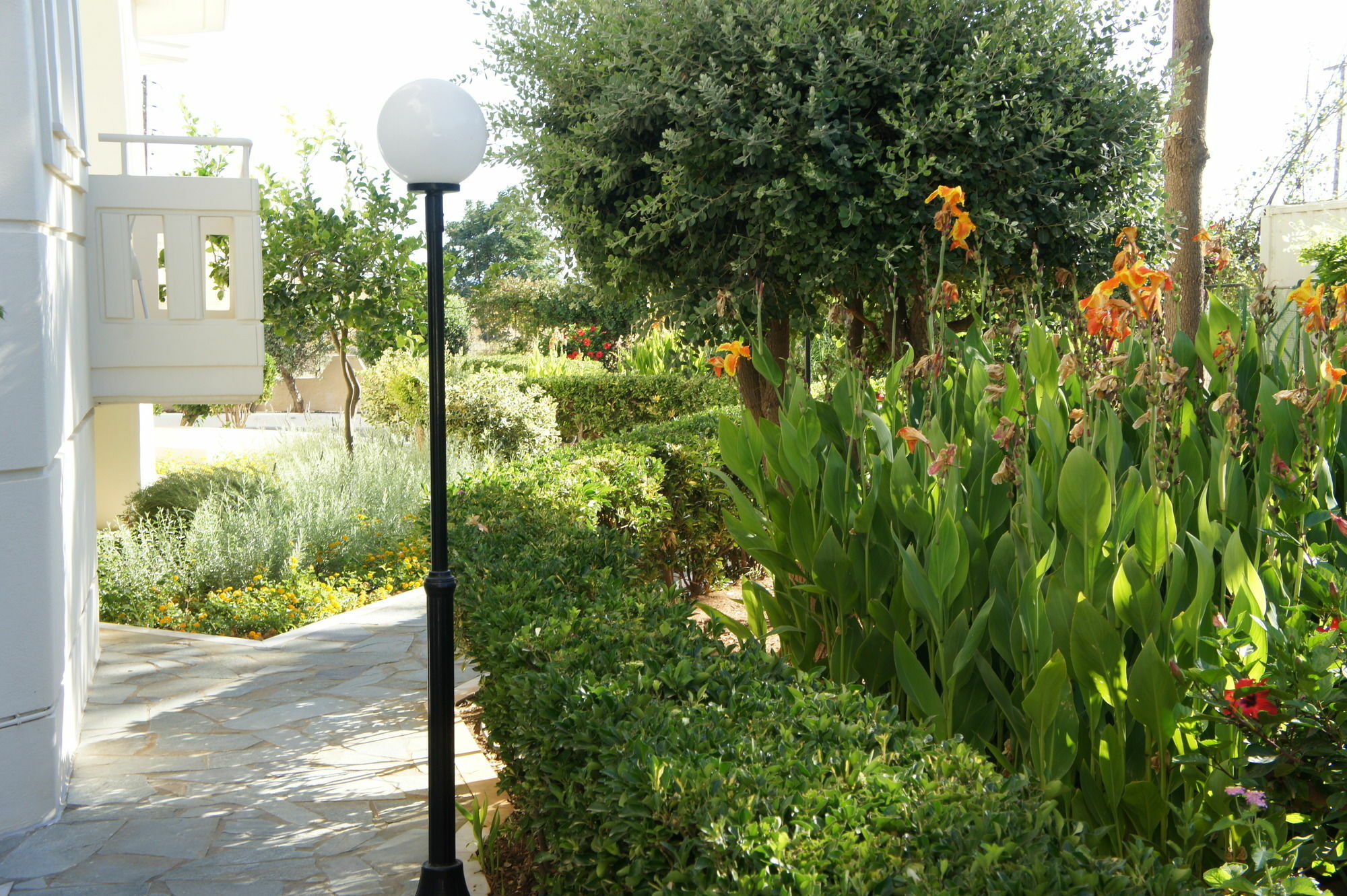 Kedrissos Hotel Chania  ภายนอก รูปภาพ