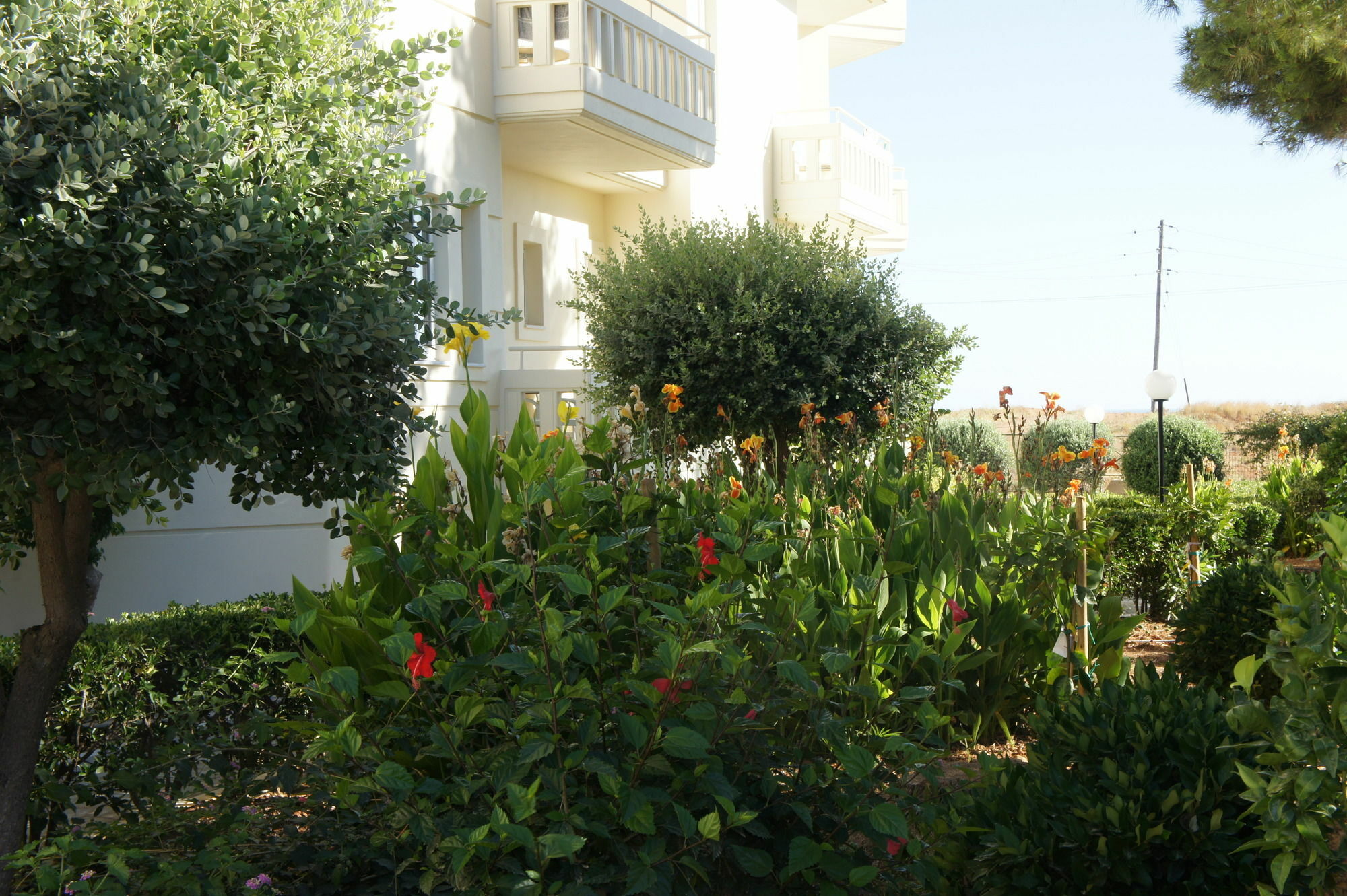 Kedrissos Hotel Chania  ภายนอก รูปภาพ